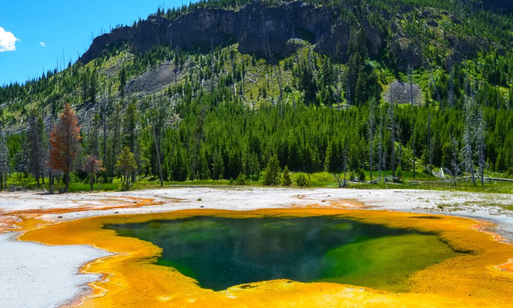 artists paintpots