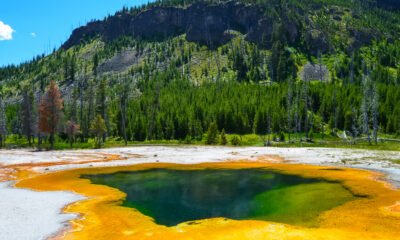artists paintpots