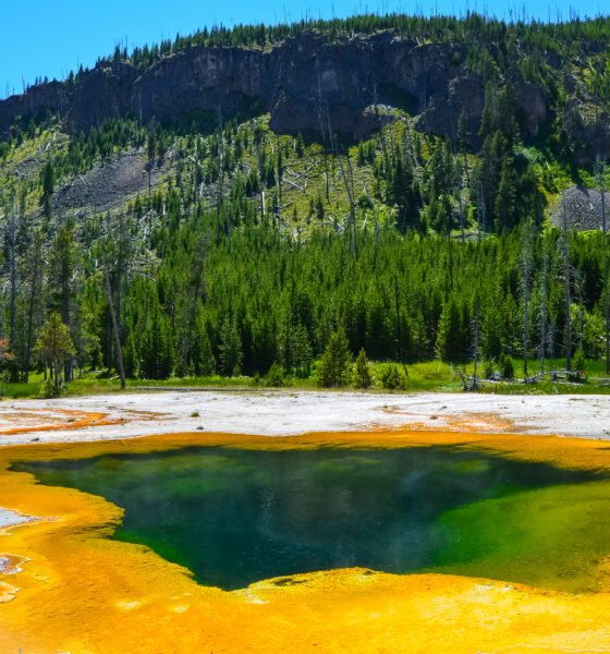 artists paintpots