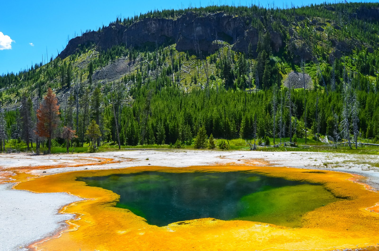 artists paintpots