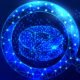 todos juntos seguros Seekde: The Future of Smart Digital Discovery and Intelligent Search
