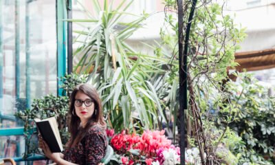 The Ultimate Guide to Plant Walls: Transforming Spaces with Nature's Living Art