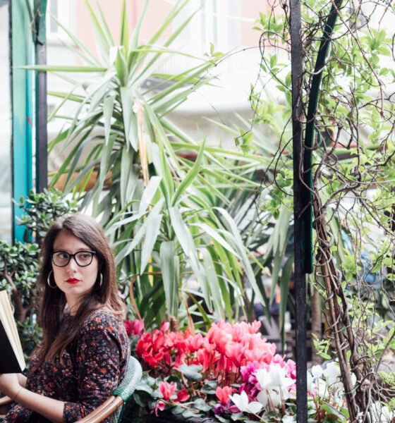 The Ultimate Guide to Plant Walls: Transforming Spaces with Nature's Living Art