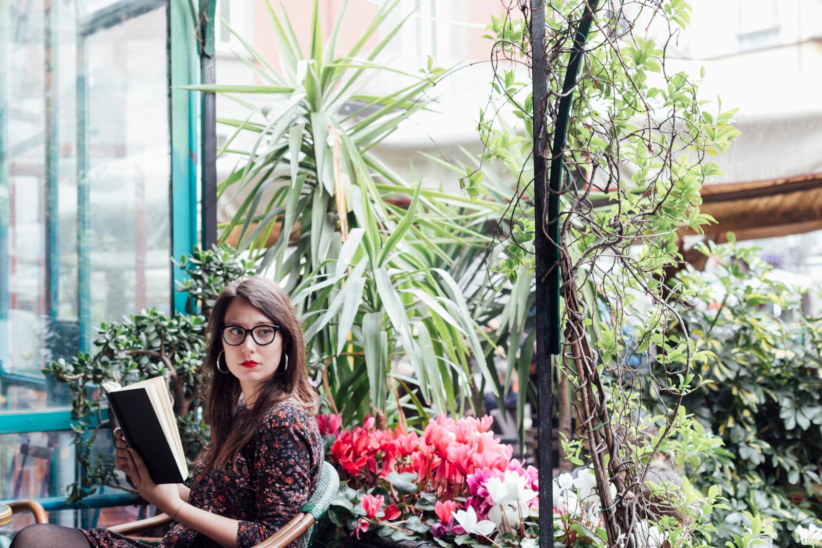 The Ultimate Guide to Plant Walls: Transforming Spaces with Nature's Living Art