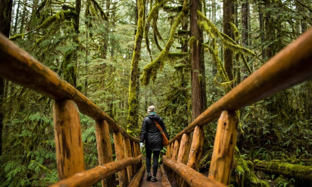 aihualama trail