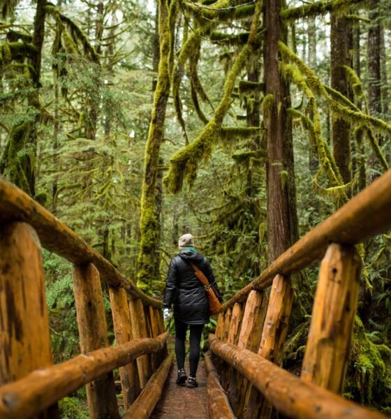 aihualama trail