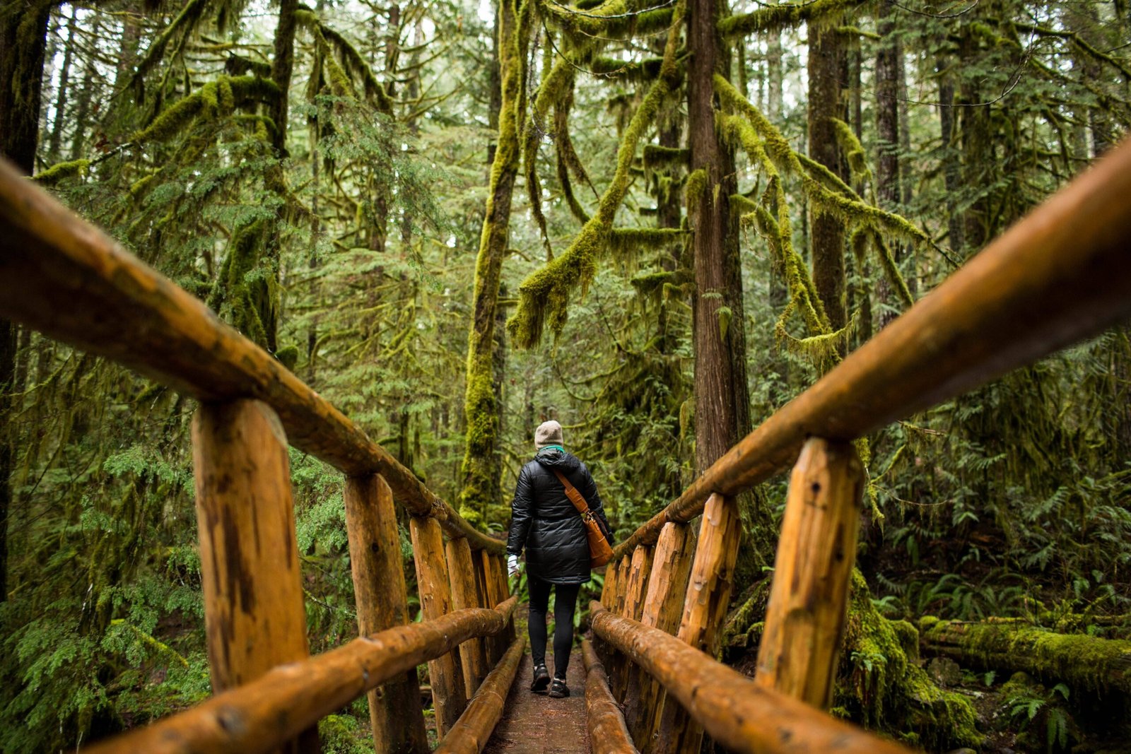 aihualama trail
