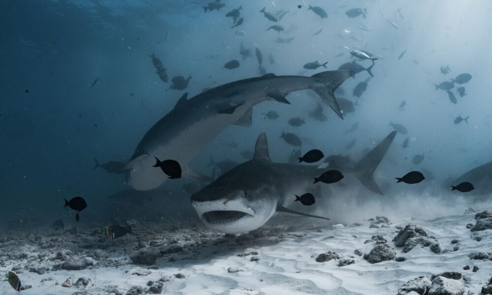 The Ultimate Guide to Animal Movies Horror: A Deep Dive into Nature's Most Terrifying Cinema