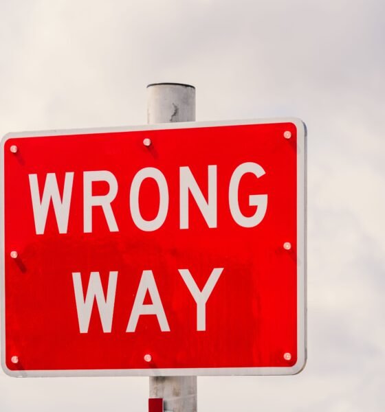 "Wrong Then" – Why Your Gut Instinct Failed, and How to Turn Past Errors into Future Wins