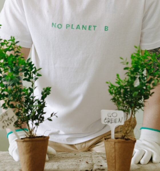 The Ultimate Guide to Sustainable Living: Eco-Friendly Practices for a Greener Future