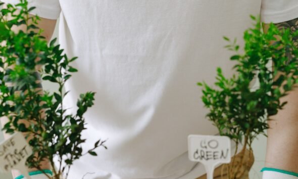 The Ultimate Guide to Sustainable Living: Eco-Friendly Practices for a Greener Future