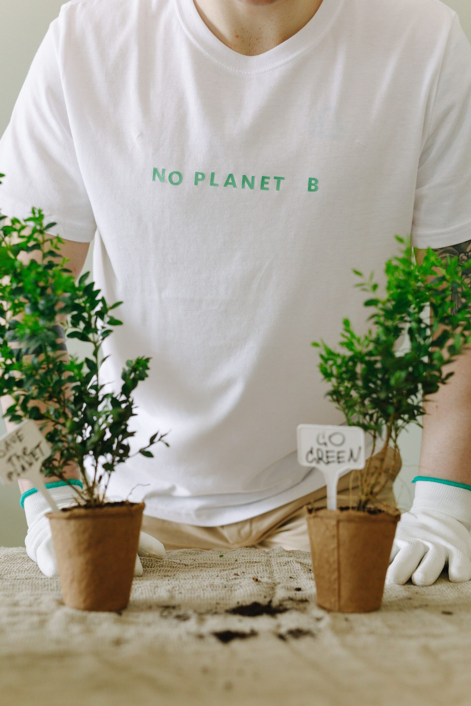 The Ultimate Guide to Sustainable Living: Eco-Friendly Practices for a Greener Future
