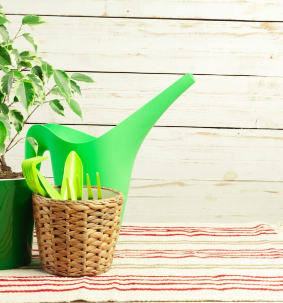 The Ultimate Guide to Green Stalks: From Garden to Table