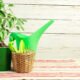 The Ultimate Guide to Green Stalks: From Garden to Table